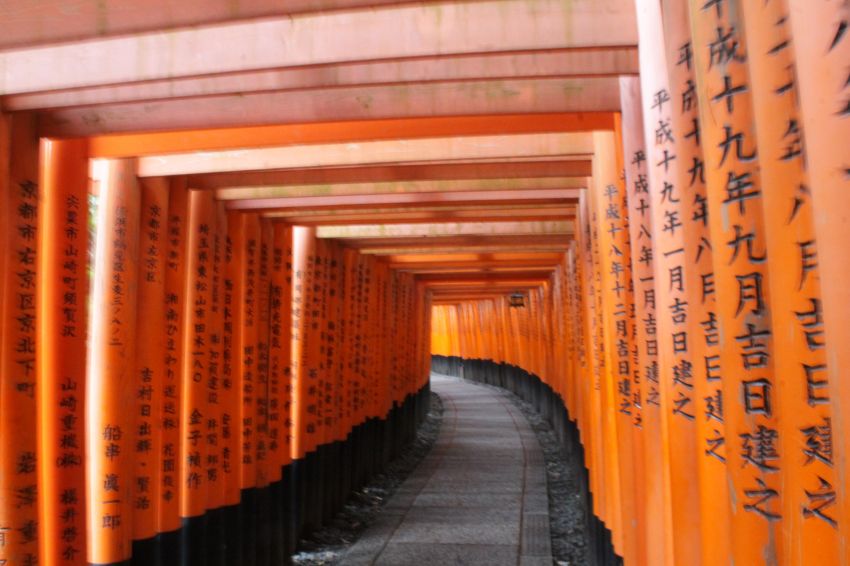 京都駅でのインバウンド客の質問、みな同じなのはなぜ？